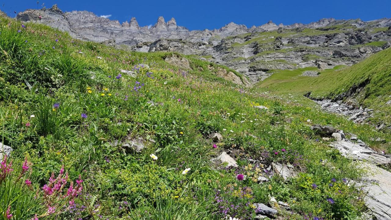 Beau-séjour Loèche-les-Bains